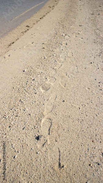 Fototapeta 砂浜の足跡