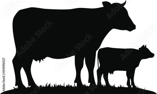 Obraz Cow and calf graze together in silhouette on a grassy hill