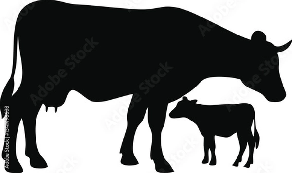 Obraz Cow and calf silhouette isolated on white background