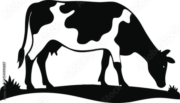 Obraz Black and white cow grazing in a field isolated on white background