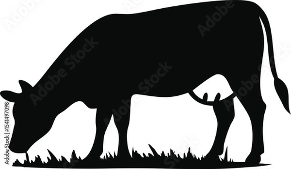 Obraz Cow silhouette grazes on grass isolated on white background