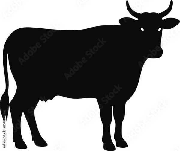 Obraz Cow silhouette isolated on white background