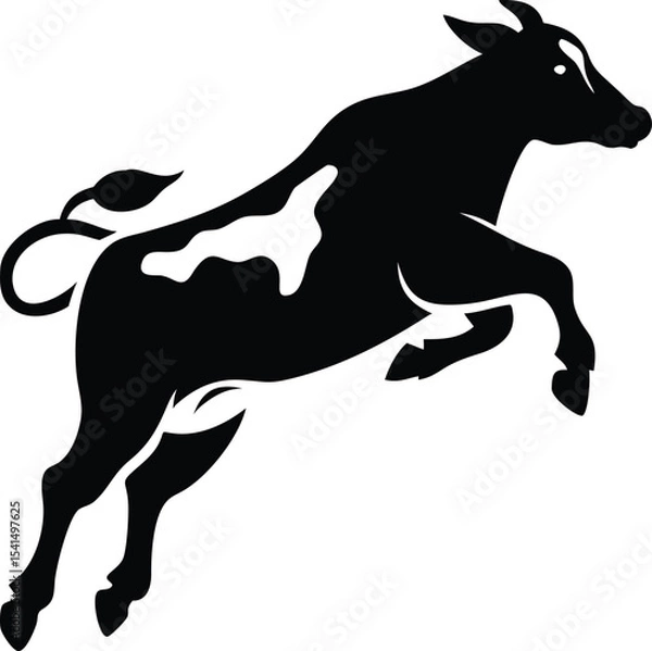 Obraz Black and white cow jumping isolated on white background