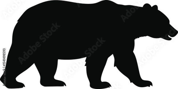 Obraz Bear silhouette walking isolated on white background