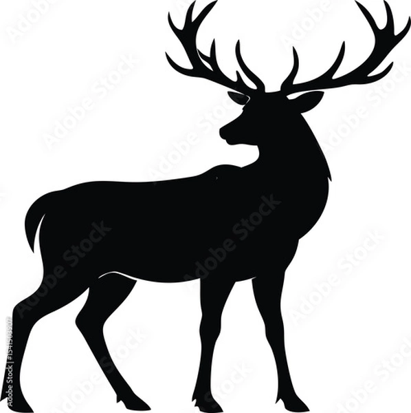 Obraz Deer silhouette with large antlers isolated on white background