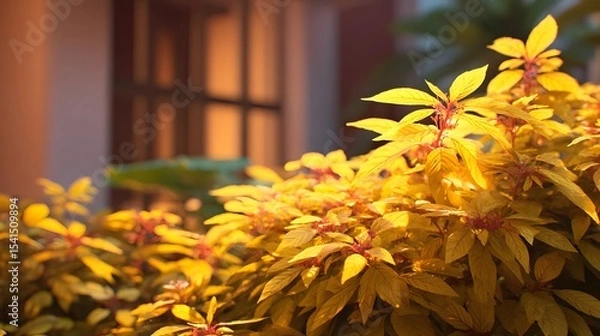 Fototapeta Vibrant yellow foliage illuminated by soft sunlight in a serene garden setting with blurred background