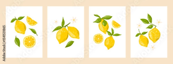 Fototapeta Lemons, flowers and leaves, vector crayon illustration set. Card, invitation or poster. Trendy hand drawn retro design for wall decor, postcard, cover, t shirt, prints