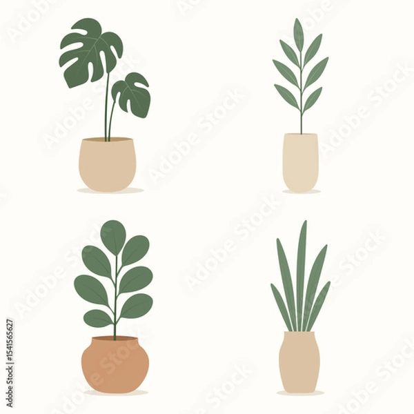 Obraz House plants in pots. Element for design house, room or office. Isolated element on white background.