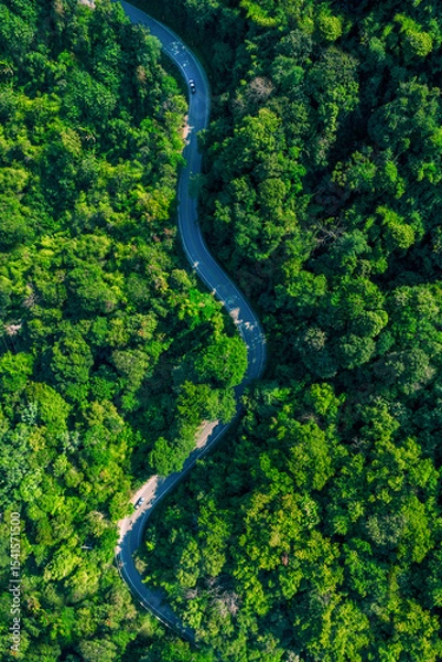Obraz Road in the middle of the forest , road curve construction up to mountain, Rainforest ecosystem and healthy environment concept.	