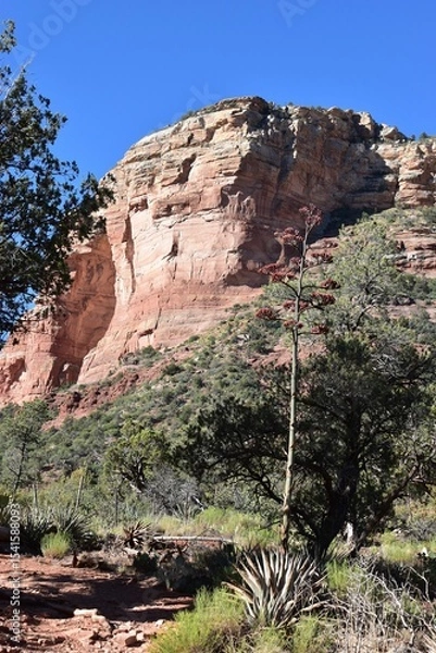 Obraz Sedona Red Rock Landscape