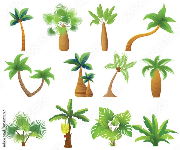 Fototapeta Tropic palm trees isolated. Exotic palm tree set vector illustration