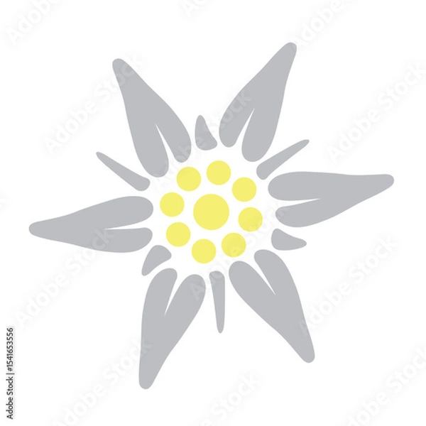 Fototapeta The colored Edelweiss icon. A rare mountain flower growing in the Alps. The symbol of Austria and Bavaria. Vector illustration for design and web.