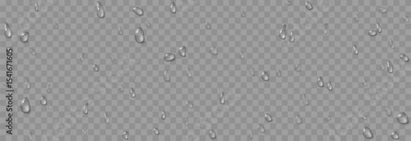 Obraz Vector water drops. Drops png, condensation on the window, on the surface. Realistic drops on an isolated transparent background.
