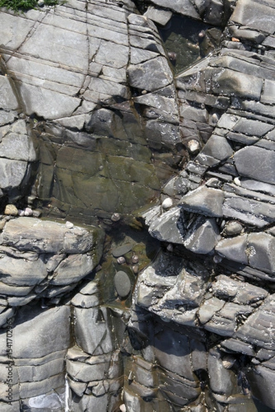 Obraz wet stone wall with shells, background