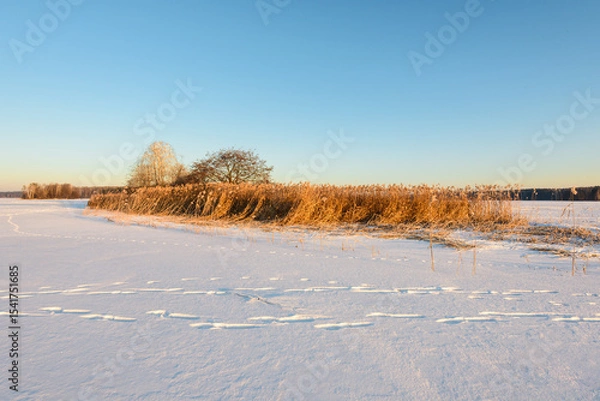 Fototapeta Snow-Covered Island on a Frozen Forest Lake.