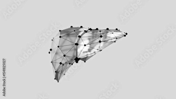 Obraz 3d render of low-poly liver over white background. Liver wireframe made of balck points. 3d illustration