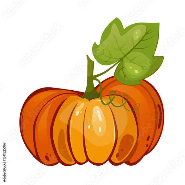 Fototapeta Pumpkin with leaf for autumn harvest,Halloween,Thanksgiving design.For greeting cards, posters, flyers, banners for fall festivals and farmers’ markets, packaging,website, game icons, textile design