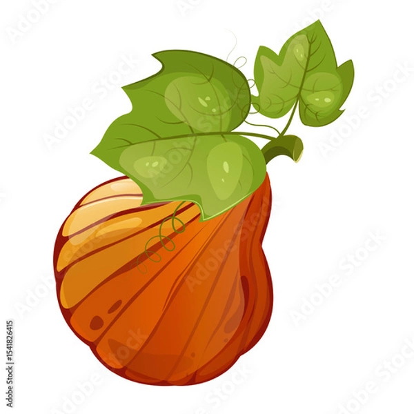Fototapeta Pumpkin with leaf for autumn harvest,Halloween,Thanksgiving design.For greeting cards, posters, flyers, banners for fall festivals and farmers’ markets, packaging,website, game icons, textile design