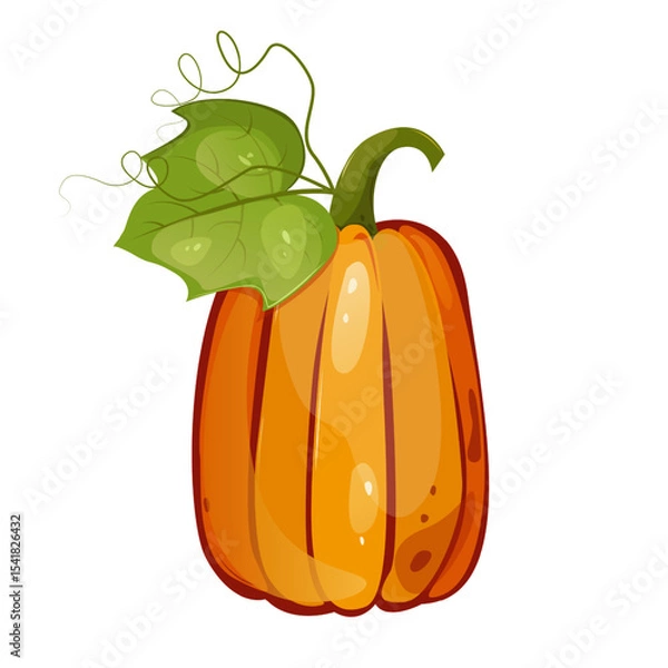 Fototapeta Pumpkin with leaf for autumn harvest,Halloween,Thanksgiving design.For greeting cards, posters, flyers, banners for fall festivals and farmers’ markets, packaging,website, game icons, textile design