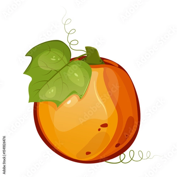 Fototapeta Pumpkin with leaf for autumn harvest,Halloween,Thanksgiving design.For greeting cards, posters, flyers, banners for fall festivals and farmers’ markets, packaging,website, game icons, textile design