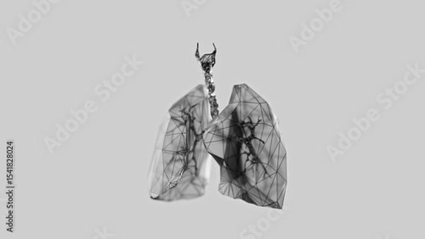 Obraz 3d render of low-poly lungs over white background. Human lungs wireframe. 3d illustration