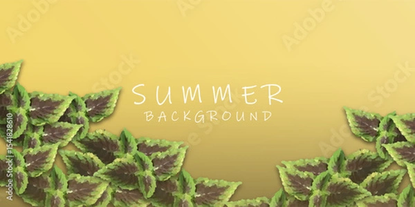 Fototapeta Tropical Leaf Border on Yellow Gradient Summer Background

