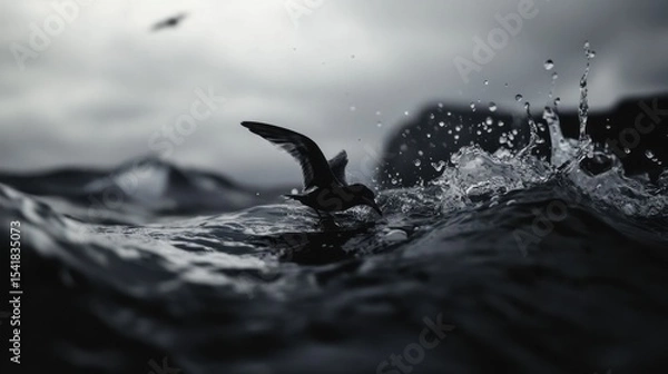 Obraz Centered composition, a bird on the sea, high saturation
