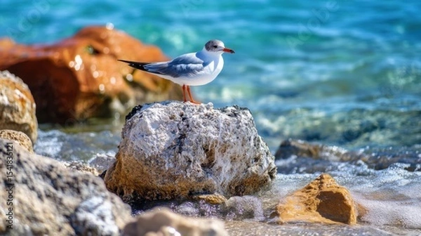 Obraz Centered composition, a bird on the sea, high saturation
