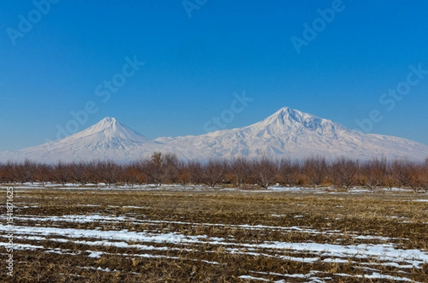 Obraz snow covered Mount Ararat scenic view from Ararat valley in winter  