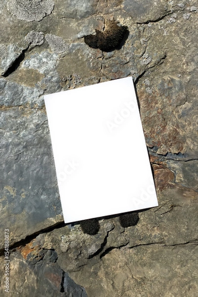Obraz Mockup of white A4 sheet with shadows on stone texture with moss. Mockup of a poster on a stone background. White blank with space for text or design