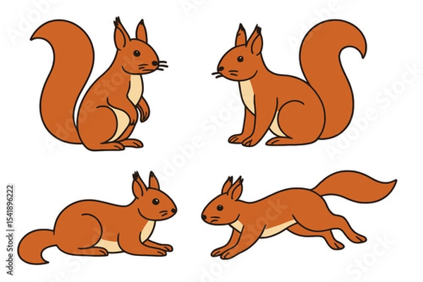 Fototapeta Red squirrel in various poses and actions on a transparent background