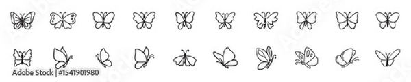Obraz Butterfly Vector Doodle Set, Butterfly doodle hand drawn icon set outline drawing butterfly line clipart. vector illustration