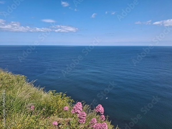 Obraz Cliff top views