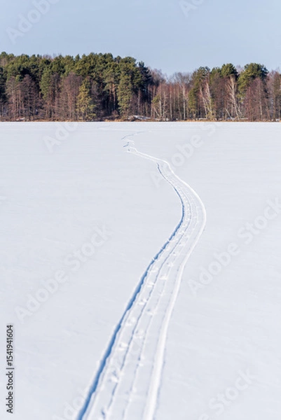 Fototapeta Traces from sleds on the snow of a frozen forest lake