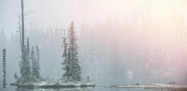 Fototapeta Scenic view of snow covered trees