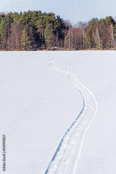 Fototapeta Winding Snow Tracks on Frozen Forest Lake