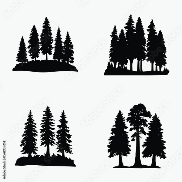 Obraz black and white redwood tree line art silhouette, vector illustration on white background
