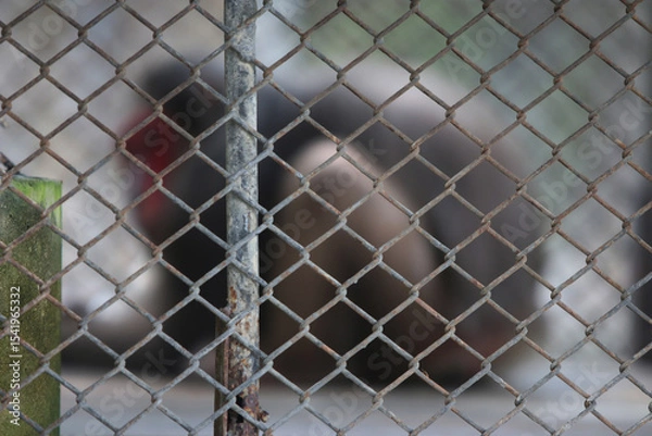 Fototapeta Behind the Fence: A blurry figure is seen through a chain link fence, creating a sense of mystery and intrigue. The focus is on the fence itself, with the background intentionally out of focus.