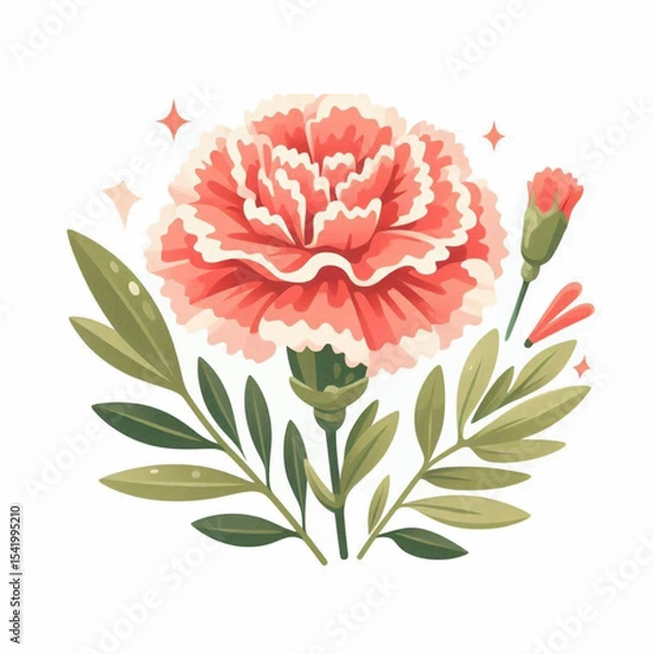 Fototapeta A coral carnation with white edges sits among green foliage accompanied by a bud and reddish petals