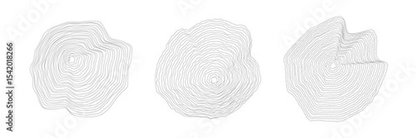 Fototapeta Set of rounded wood cuts on white with wavy, concentric annual rings. Cross sections of tree trunk. Organic ripple circles. Hardwood stump. Vector illustration