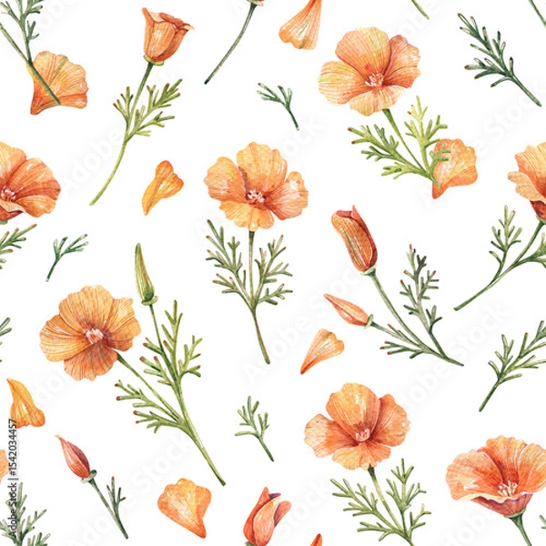 Fototapeta Botanical Pattern with Orange California Poppies on White