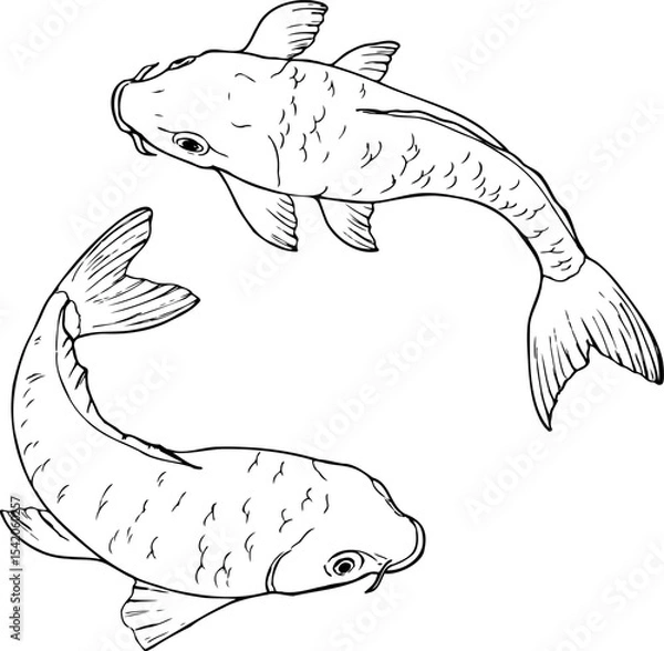 Obraz Hand drawn vector line set of Koi carp fish isolated on a white background.