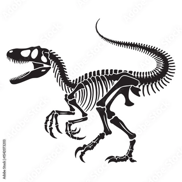 Obraz Artful fossil rendering – Velociraptor skeleton silhouette and detailed Velociraptor skeleton vector – dinosaur skeleton silhouette

