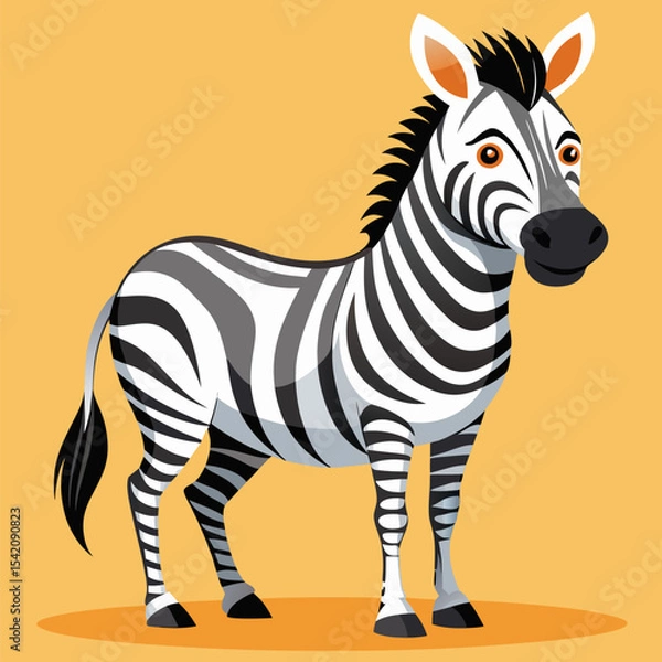 Obraz zebra cartoon vector illustration