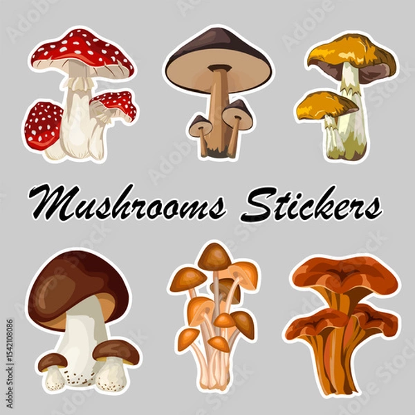 Obraz Collection of mushroom stickers.Colored vector collection with different mushrooms in stickers on gray background with text.