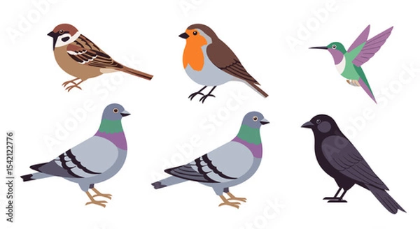 Fototapeta Illustration of six different bird species including sparrow robin and pigeons