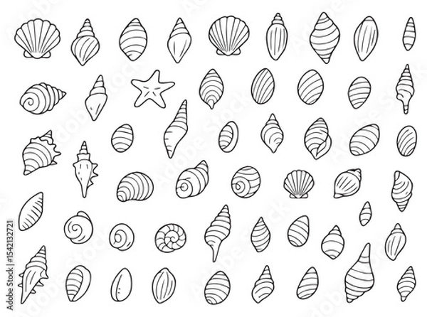 Fototapeta Pearl shell icon set. Shell coloring pages set for kids. Black shell icons. Summer doodle outline coloring isolated on white background.