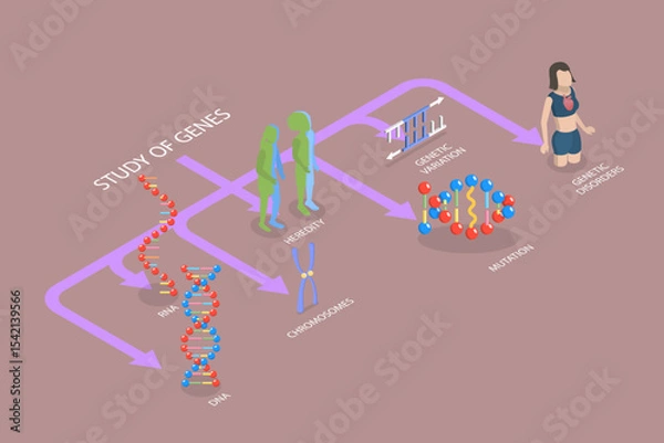 Obraz 3D Isometric Flat Vector Illustration of Genetics And Gene Learning, Diagram Outlining Various Genetic And Gene Learning Subjects Within The Field Of Genetics.