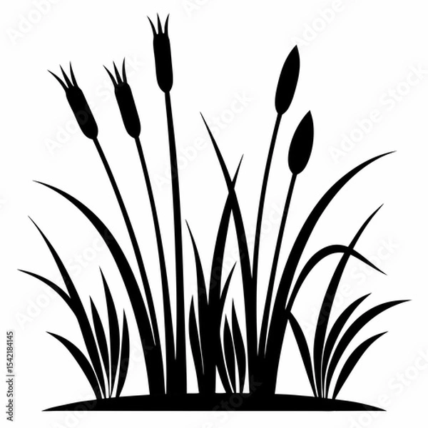 Obraz reeds silhouette vector black on white background