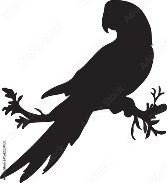 Fototapeta A silhouette of a parrot perched on a branch with detailed leaves against a plain white background image view